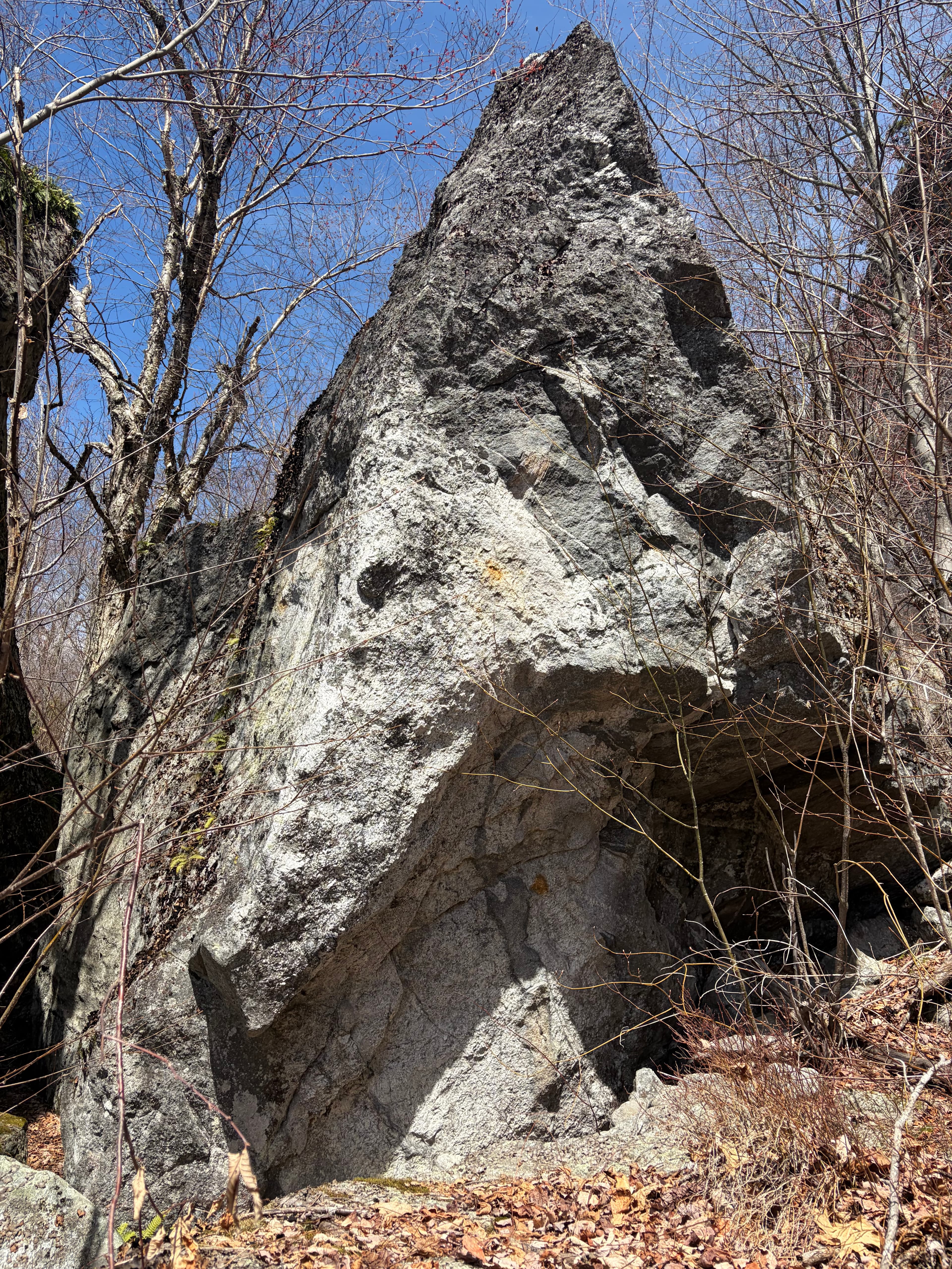 Photo of Maine