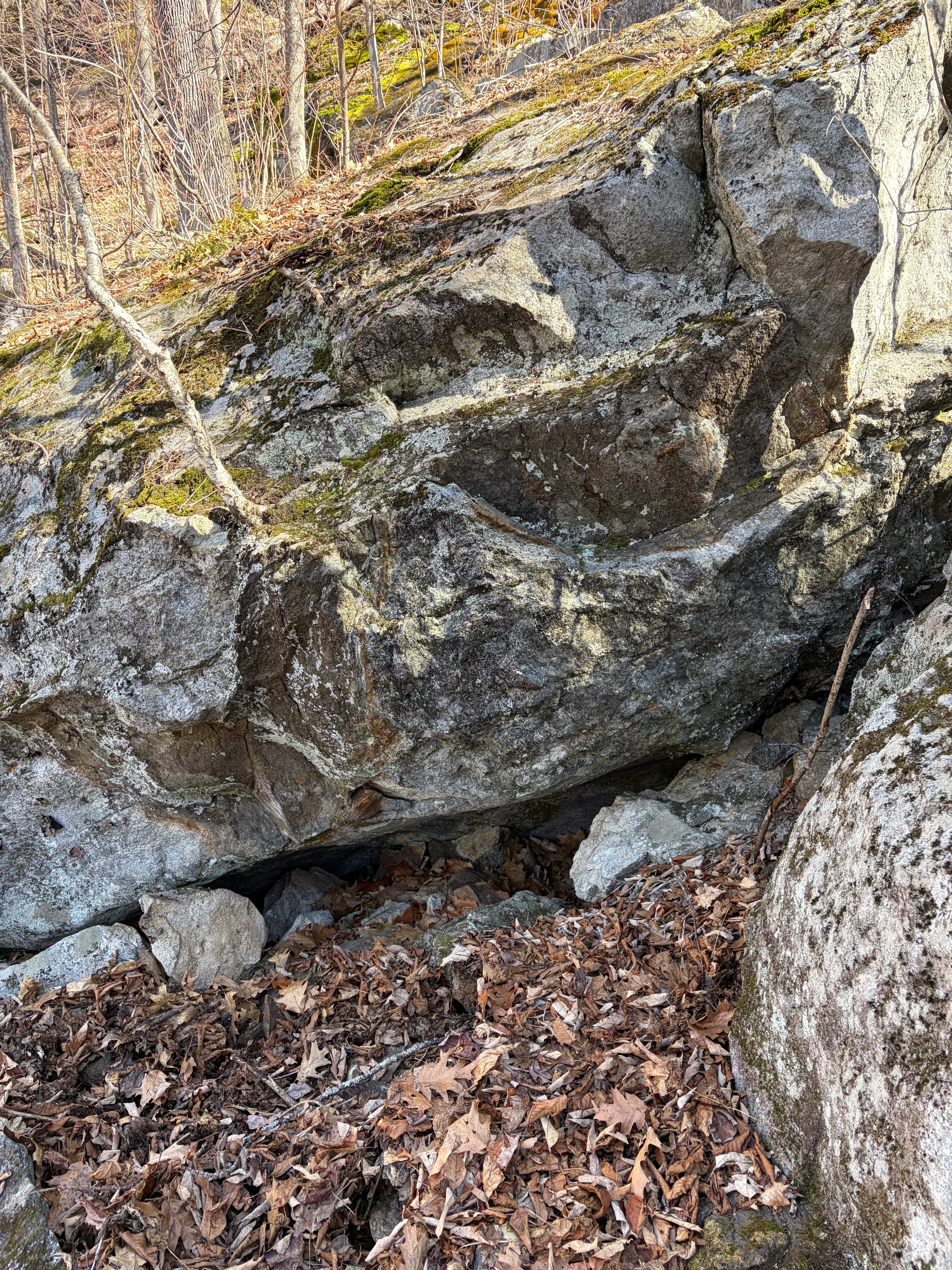 Photo of Maine