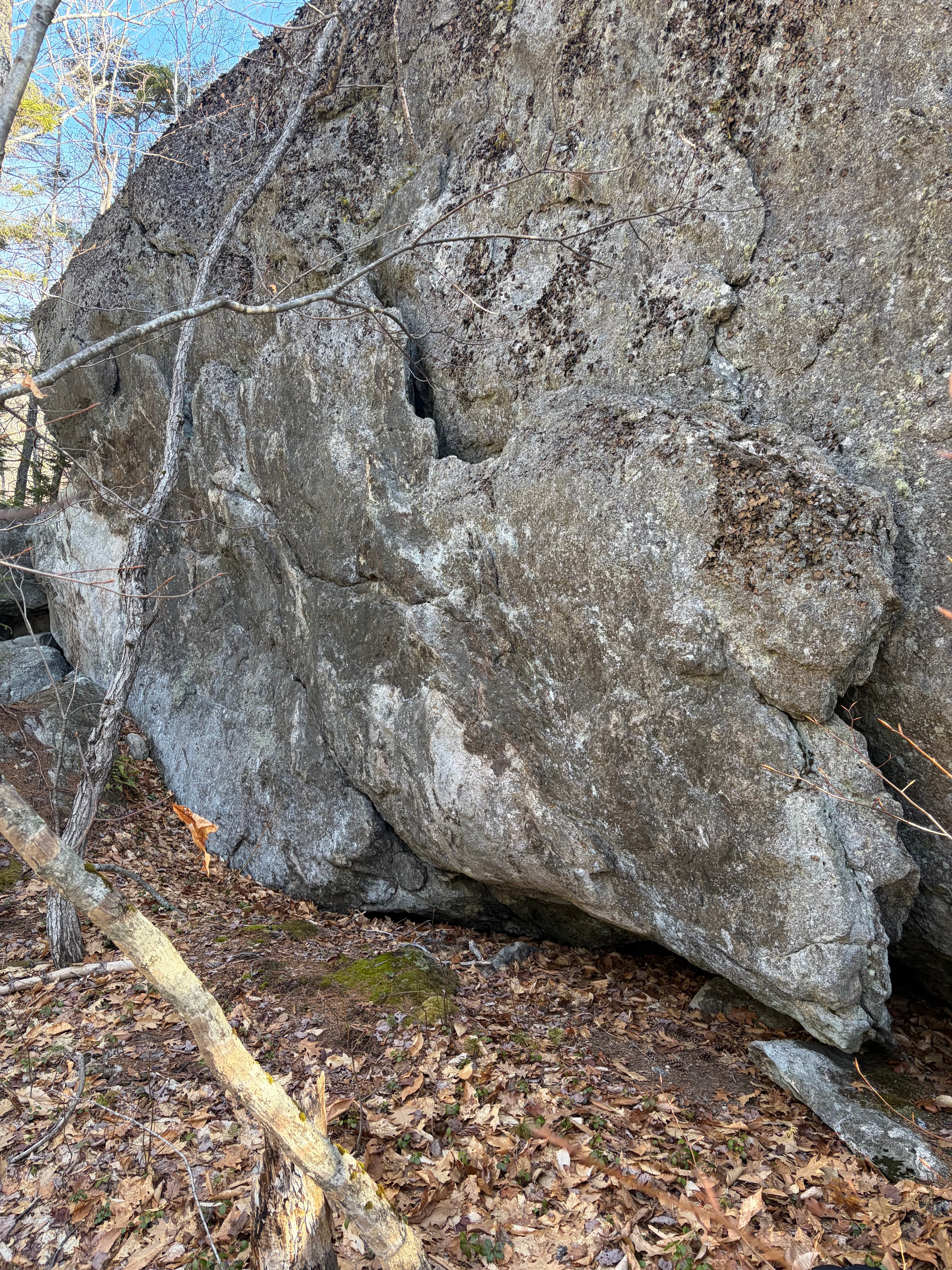 Photo of Maine