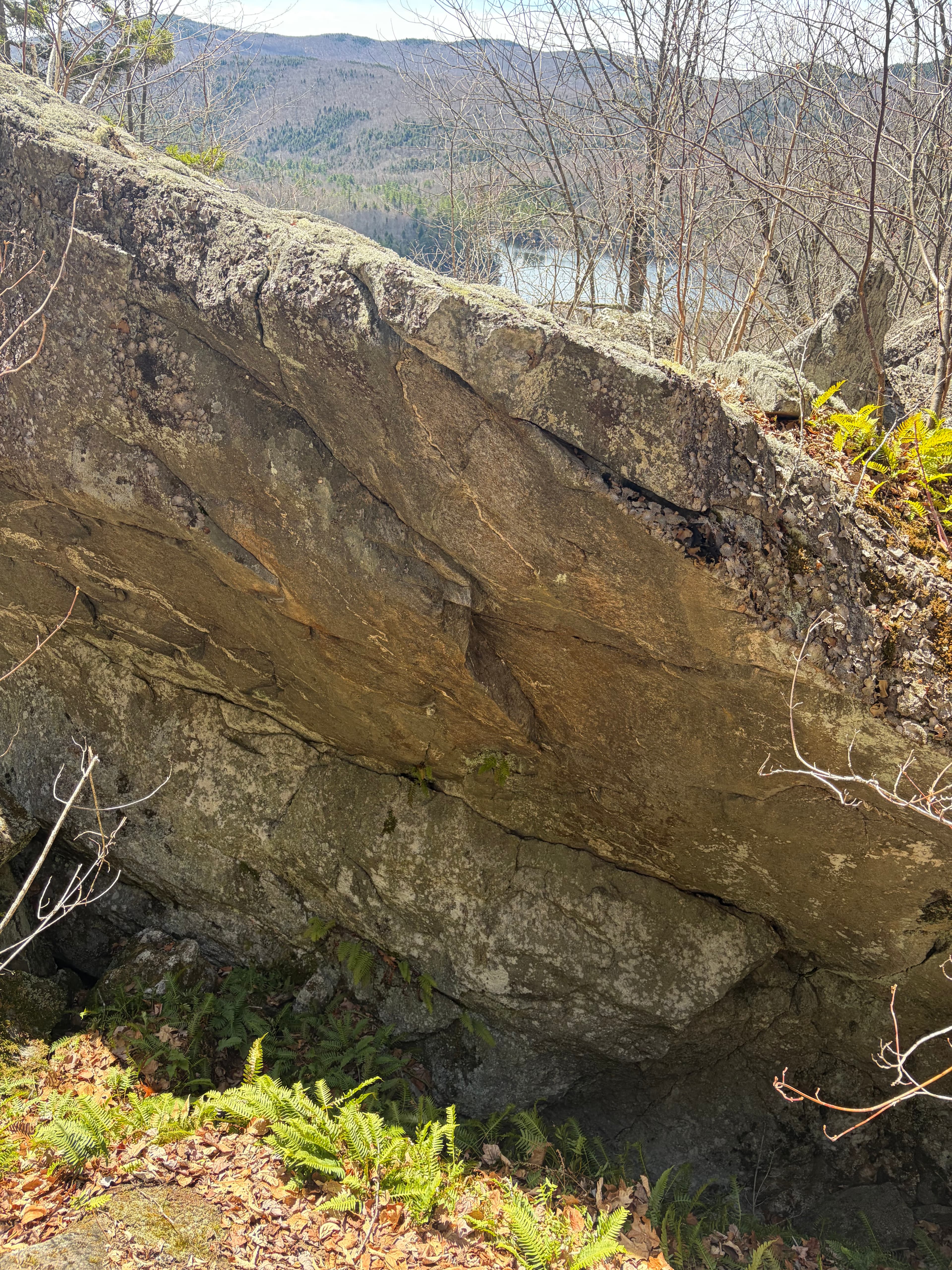 Photo of Maine