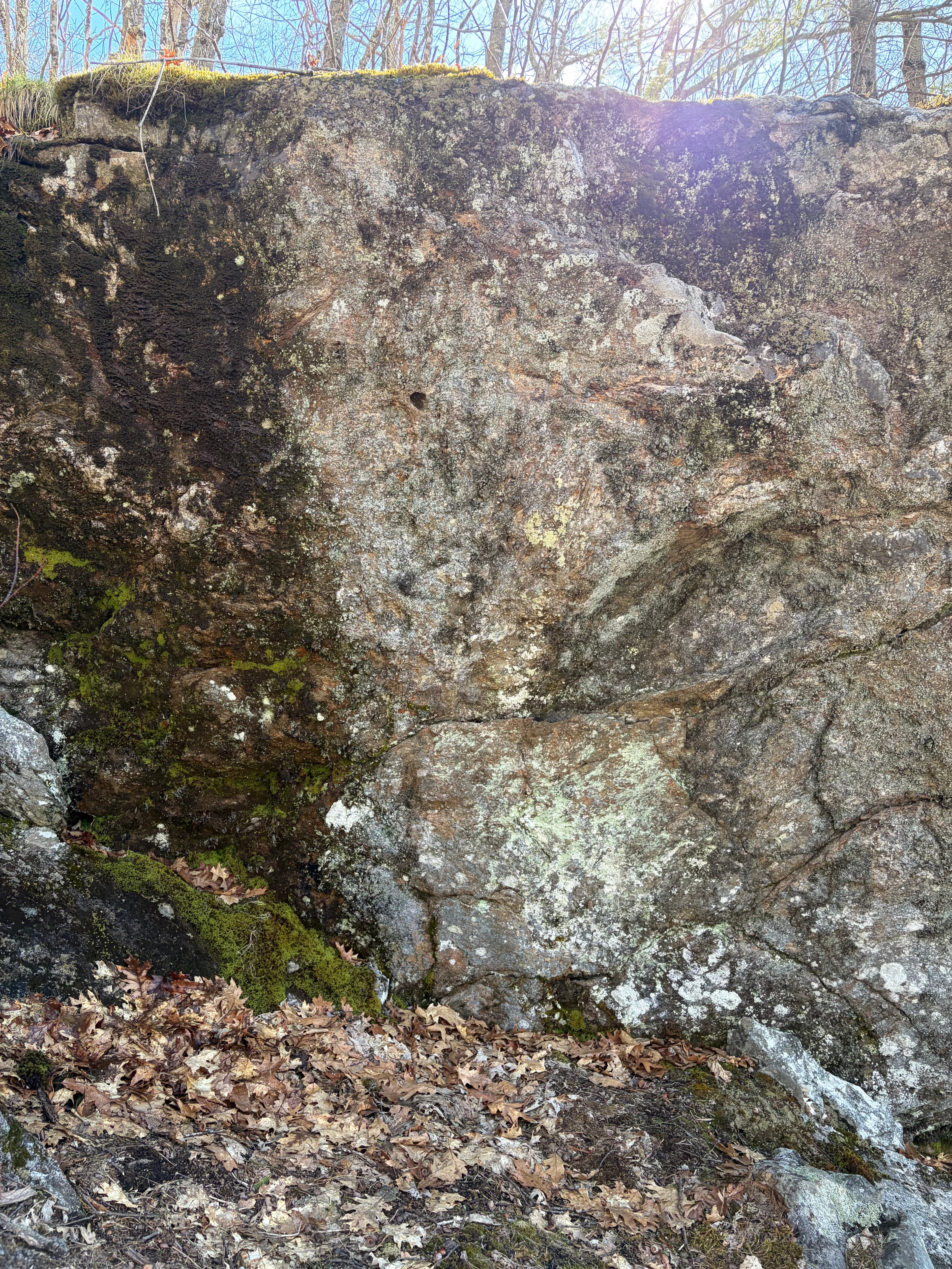 Photo of Maine
