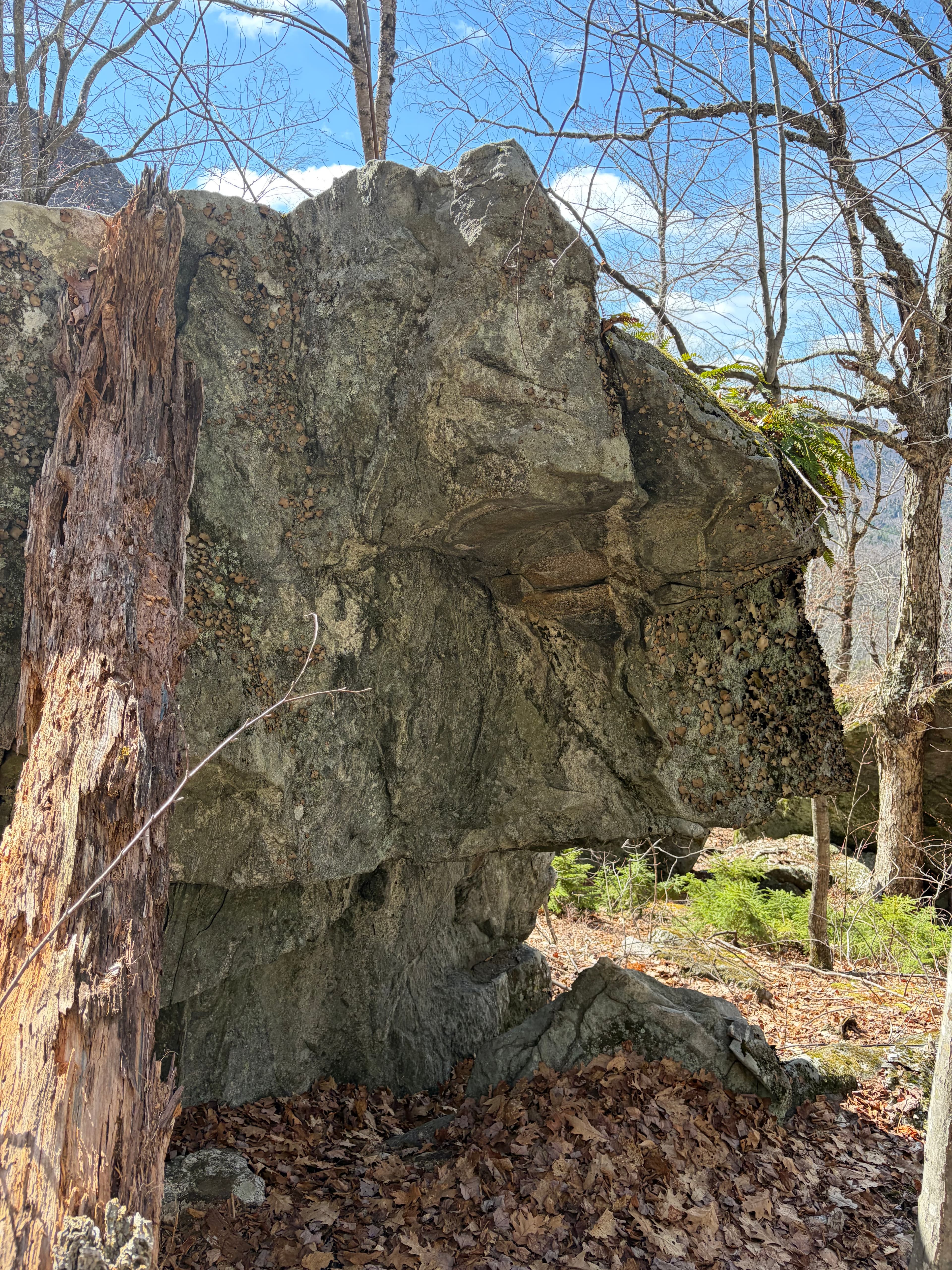 Photo of Maine