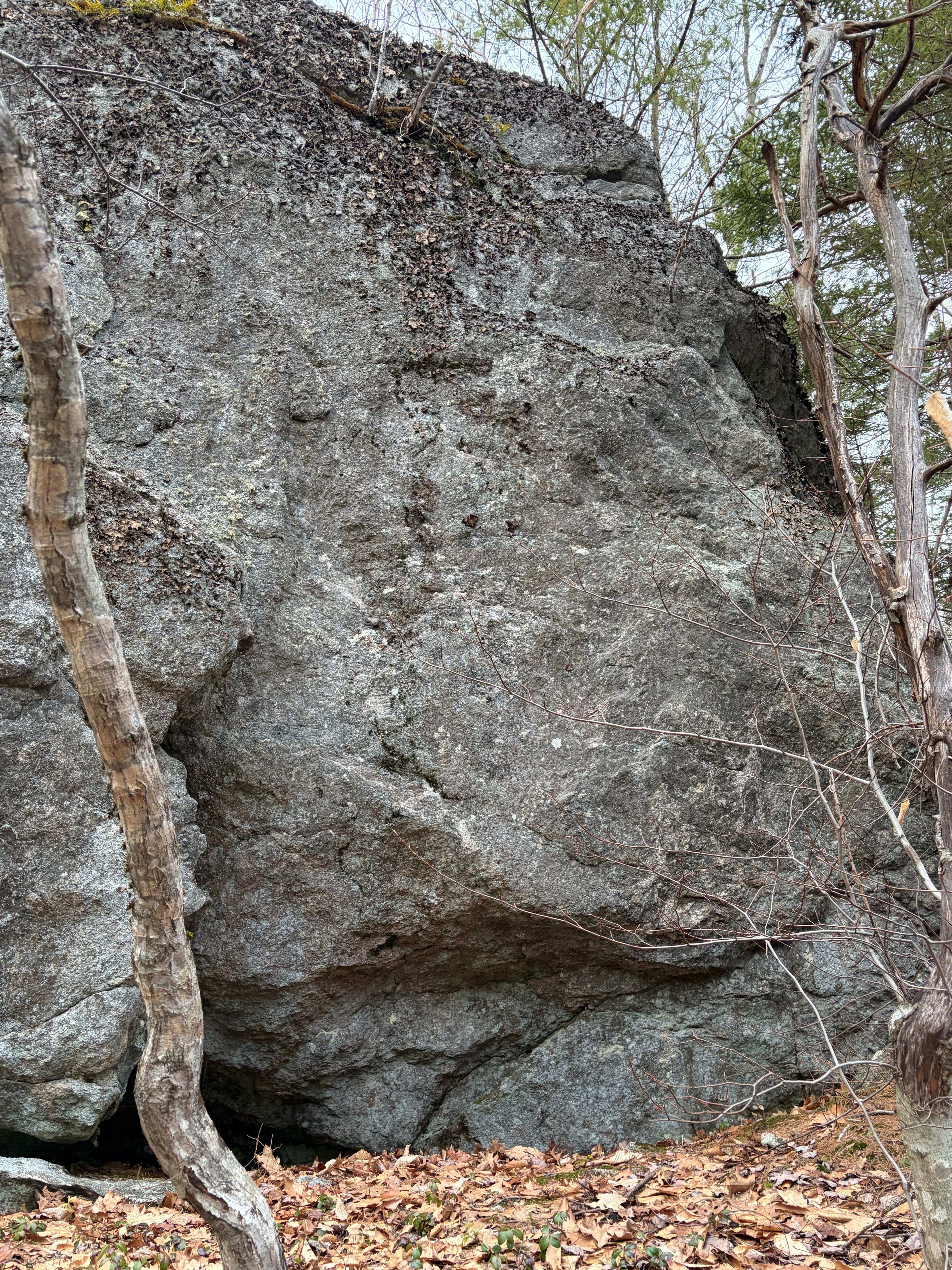 Photo of Maine