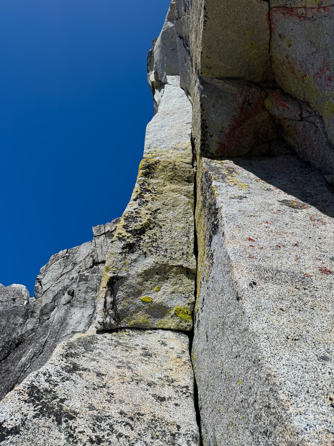 Photo of Der Sportsman