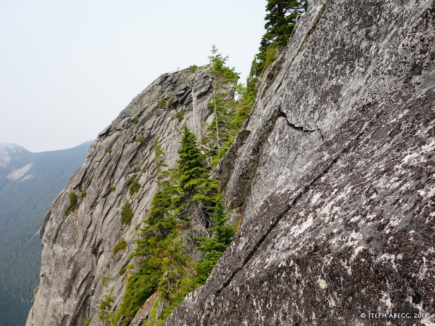 Photo of Blueberry Hill & Proxima Wall