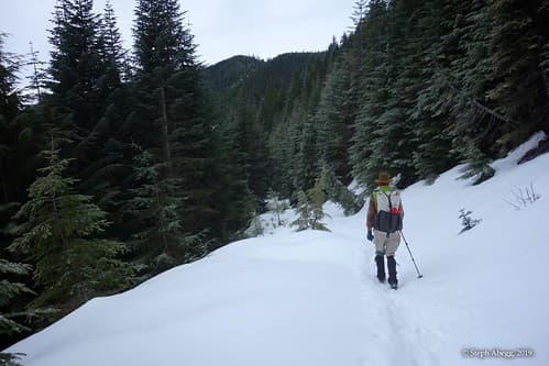 Photo of North Bend & Vicinity