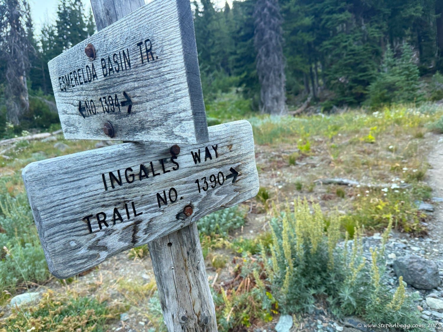 Photo of Ingalls Peak