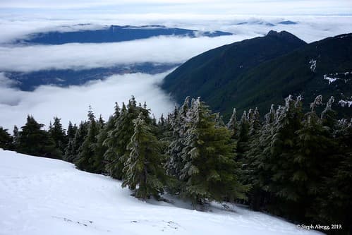 Photo of North Bend & Vicinity