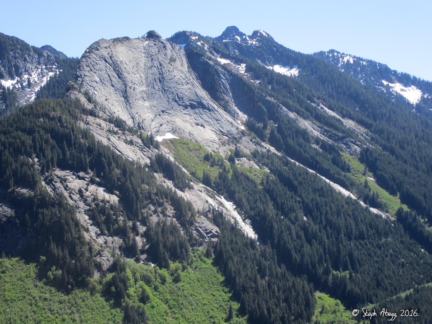 Photo of Blueberry Hill & Proxima Wall