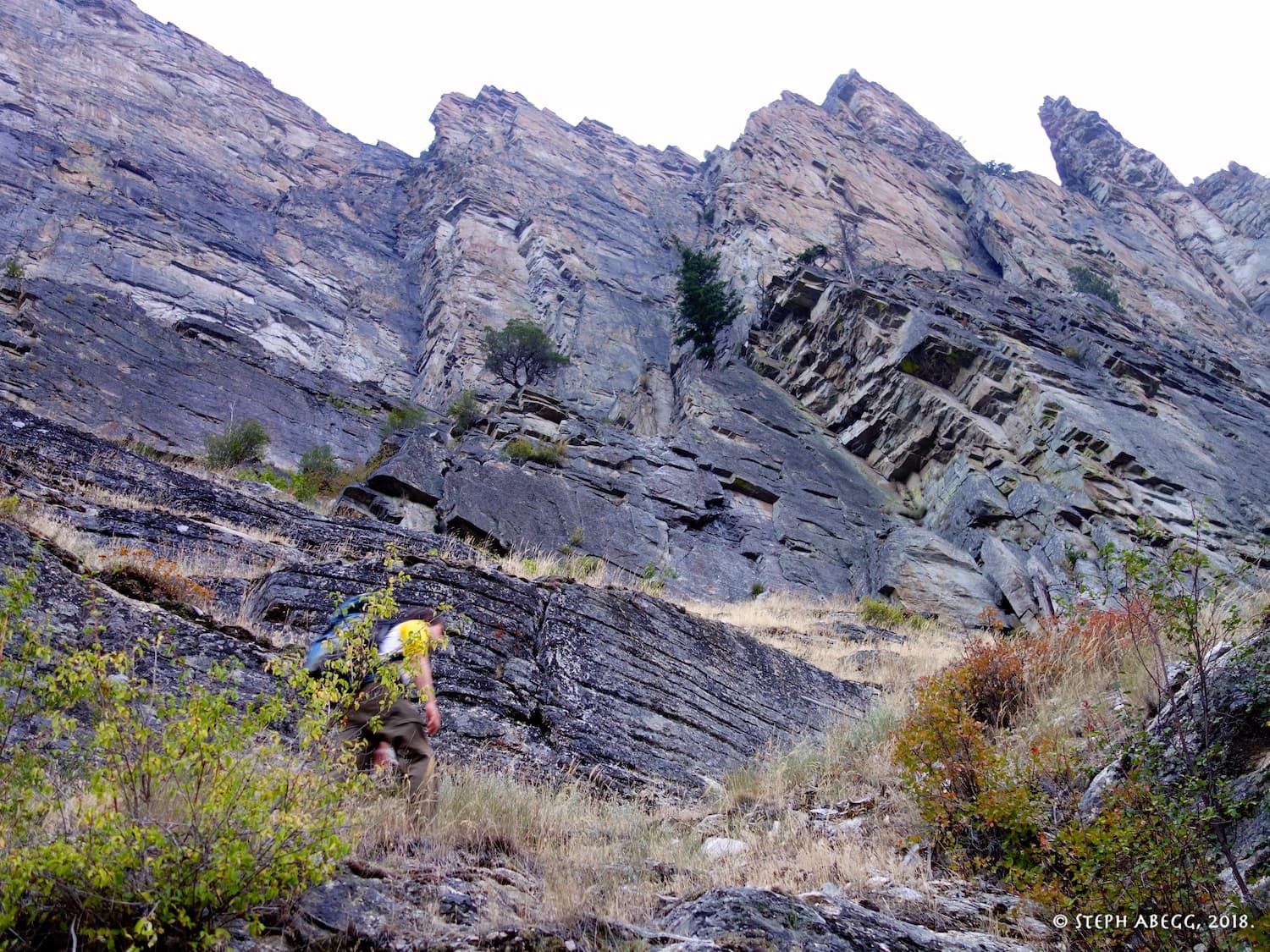 Photo of Mill Creek