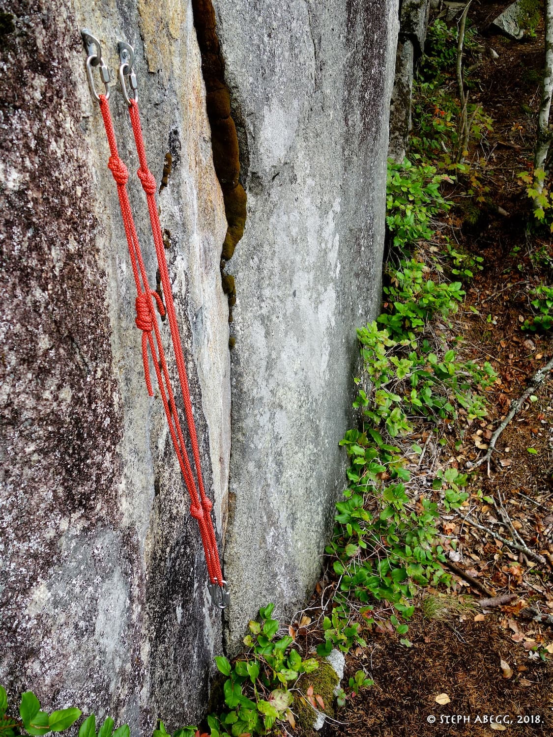 Photo of (C) Main Wall, left side