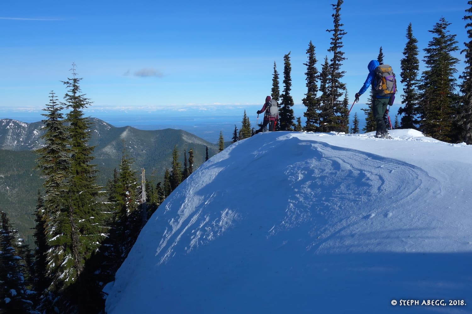 Photo of Olympic National Forest