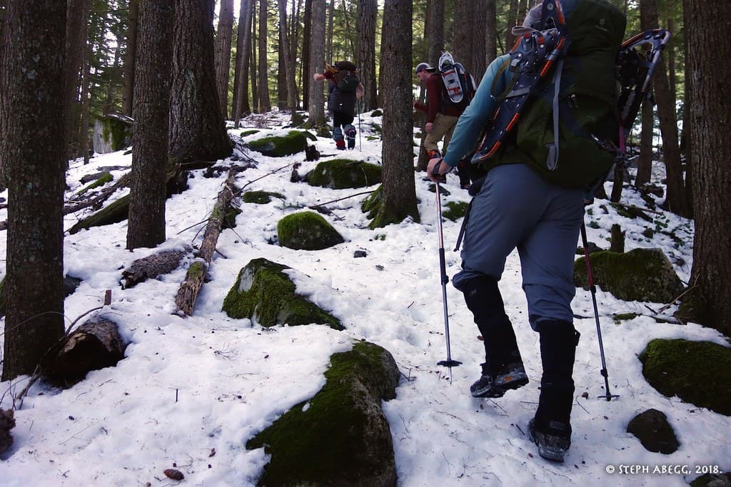 Photo of Snoqualmie Pass Area