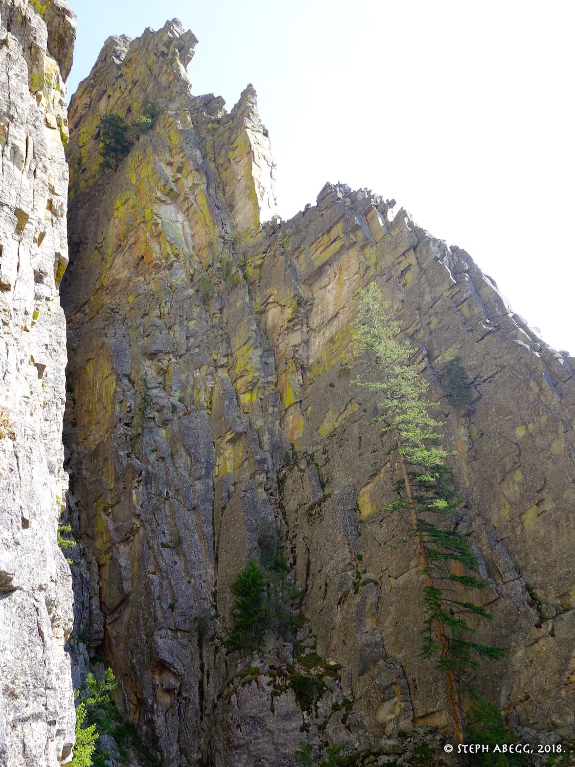 Photo of Mill Creek North Rim
