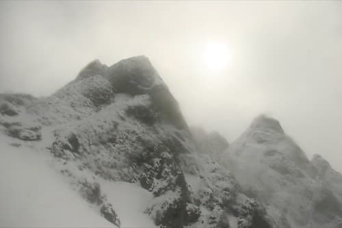 Photo of Olympic National Forest