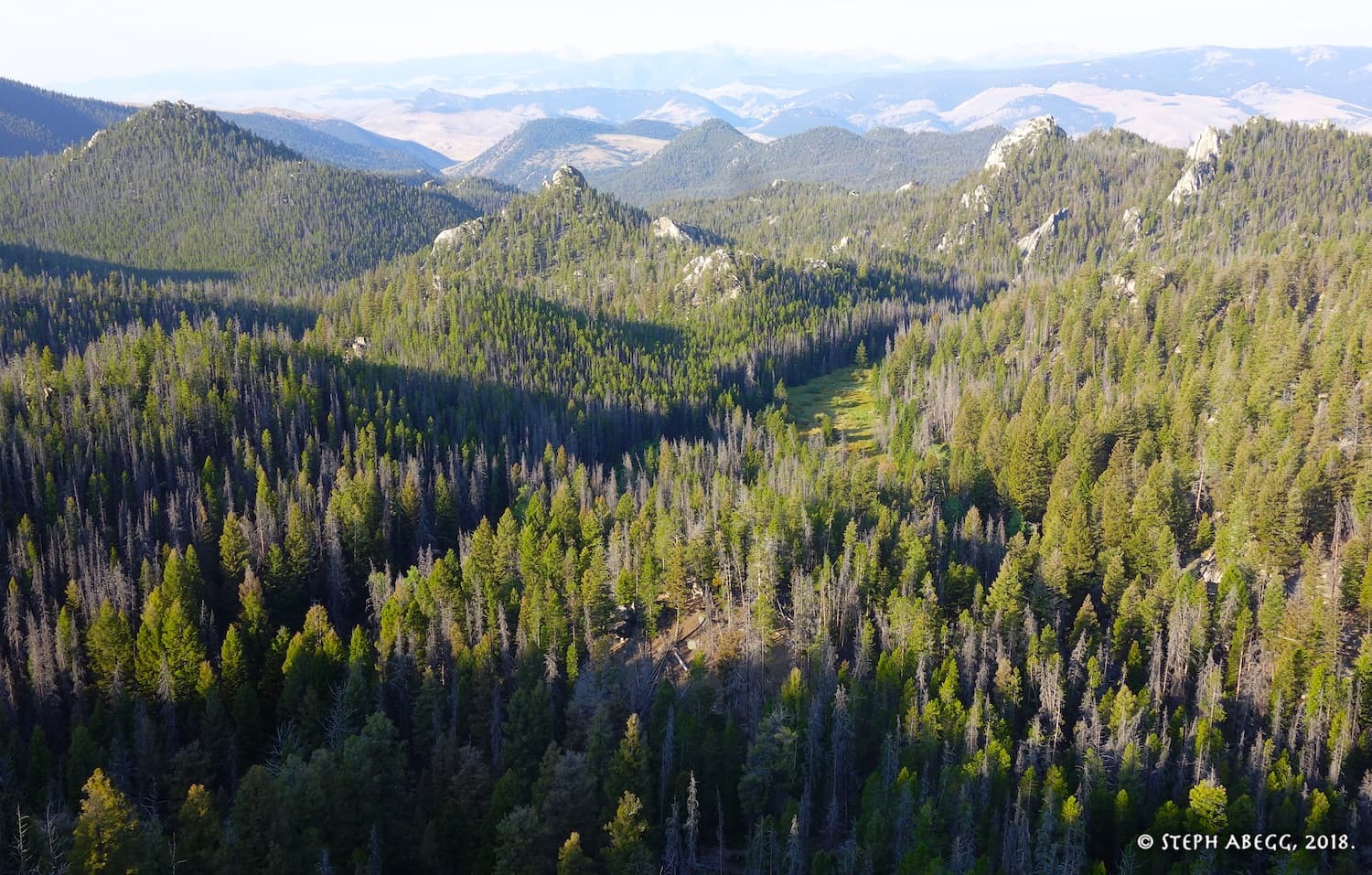 Photo of Montana