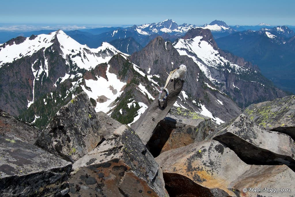 Photo of Del Campo Peak