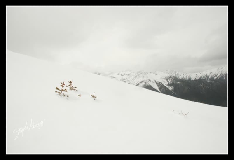 Photo of Buckhorn Mountain