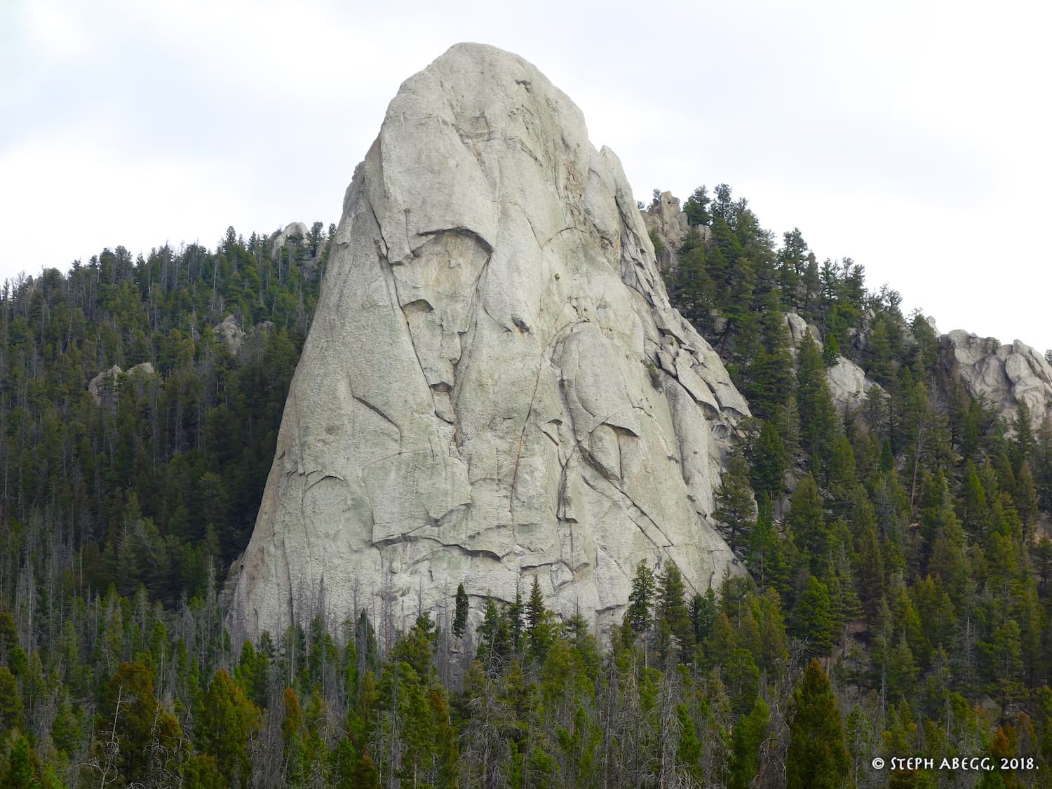Photo of Montana