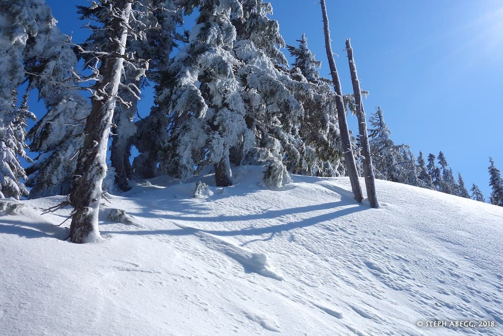 Photo of Snoqualmie Pass Area