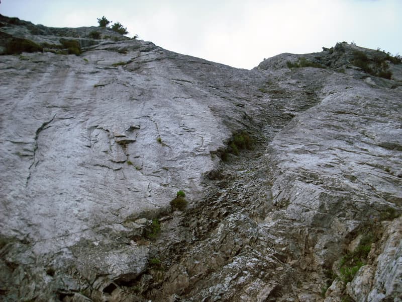 Photo of North Bend & Vicinity