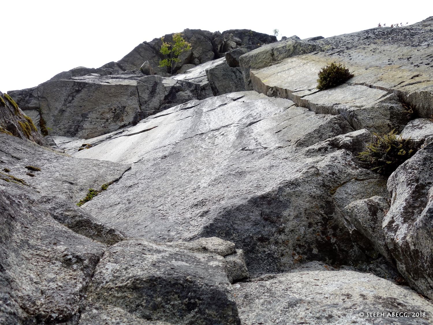 Photo of Diamond Area, The