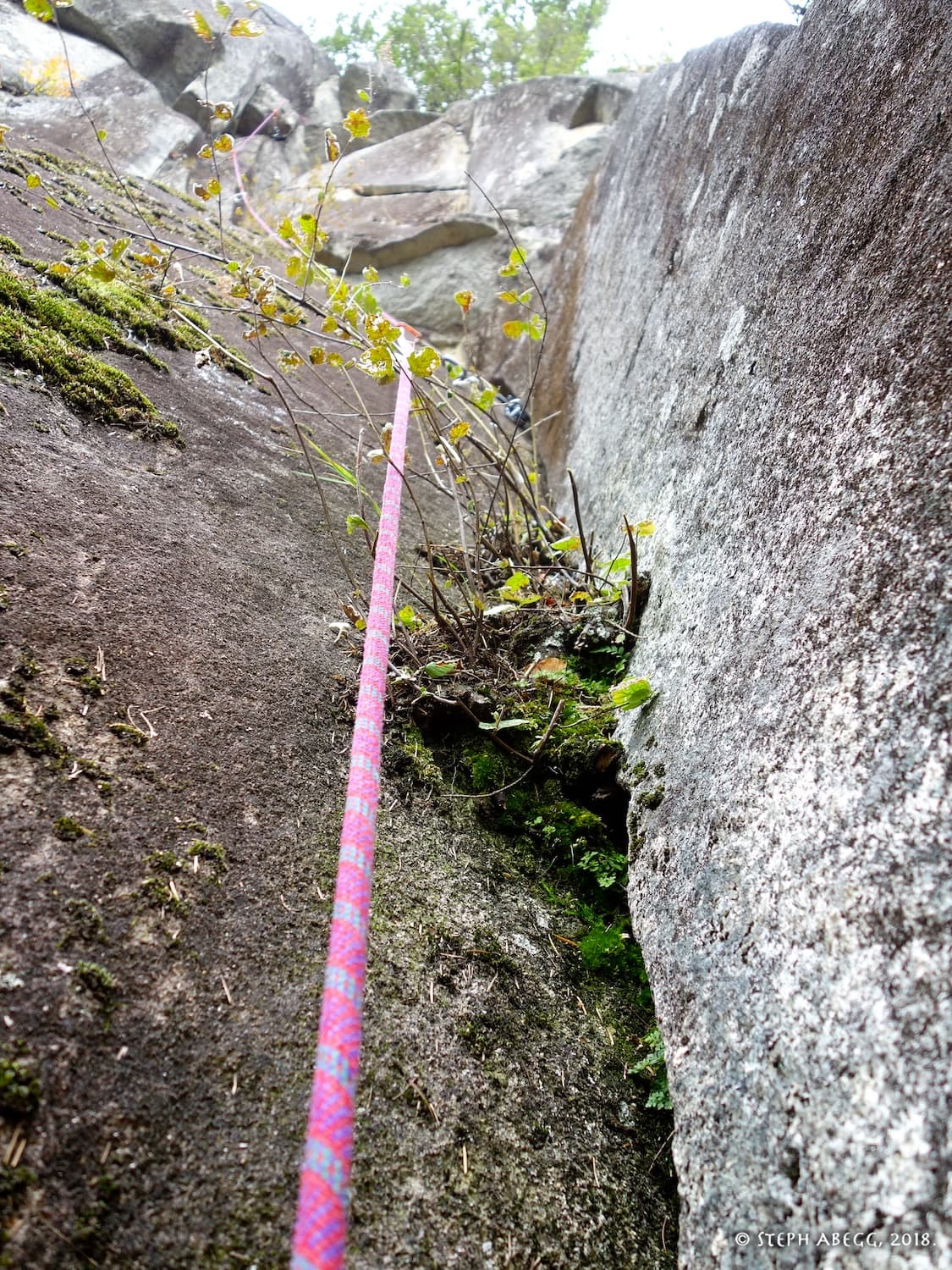 Photo of (C) Main Wall, left side