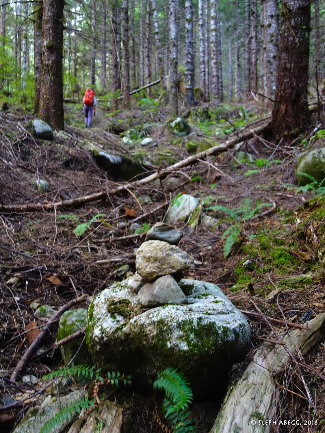 Photo of Exfoliation Dome
