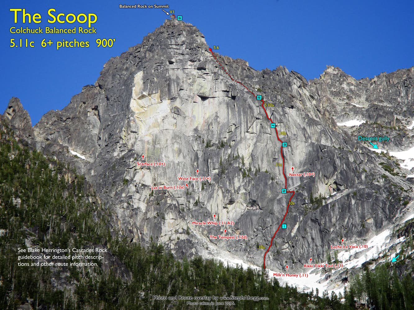 Photo of The Scoop