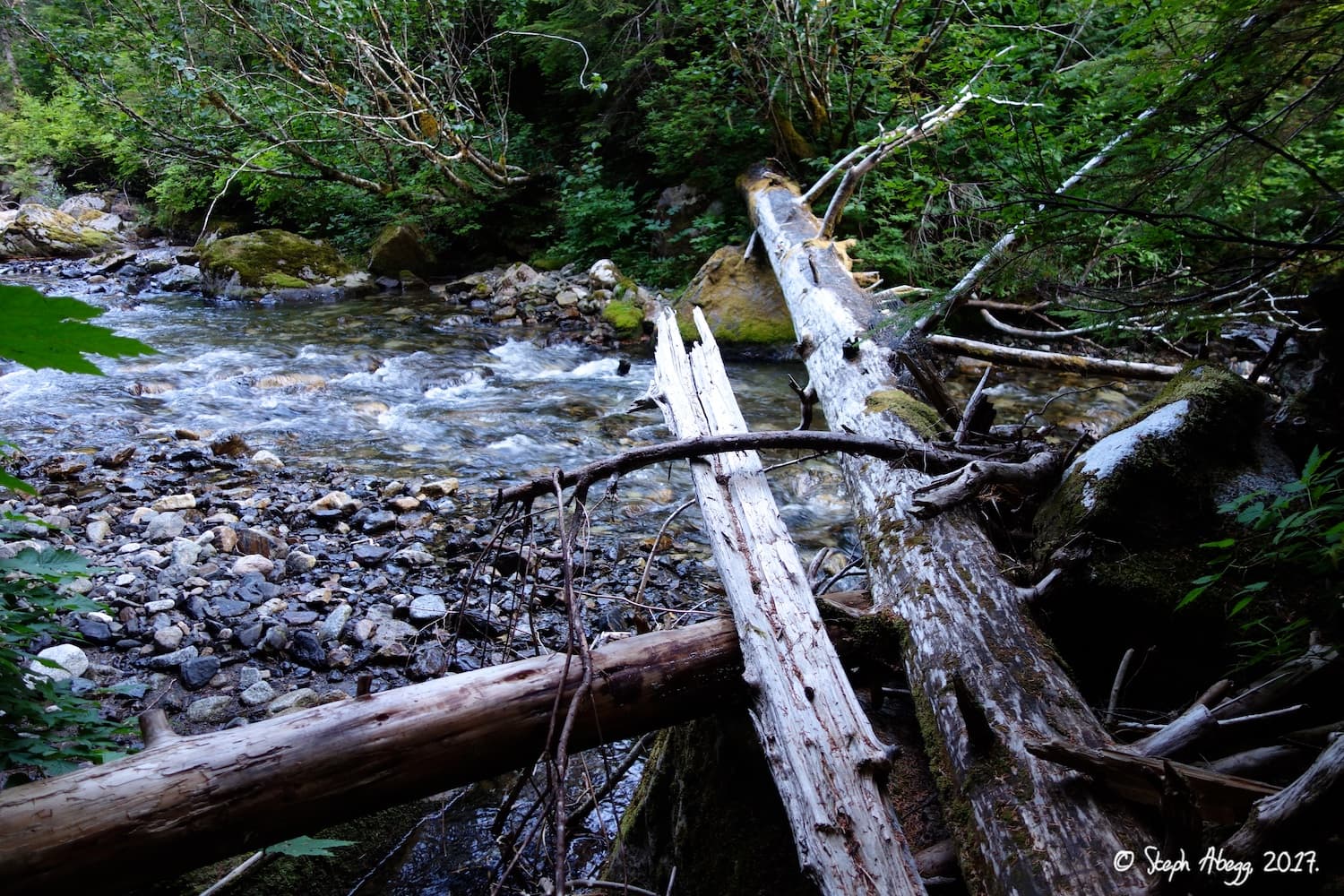 Photo of Squire Creek Walls