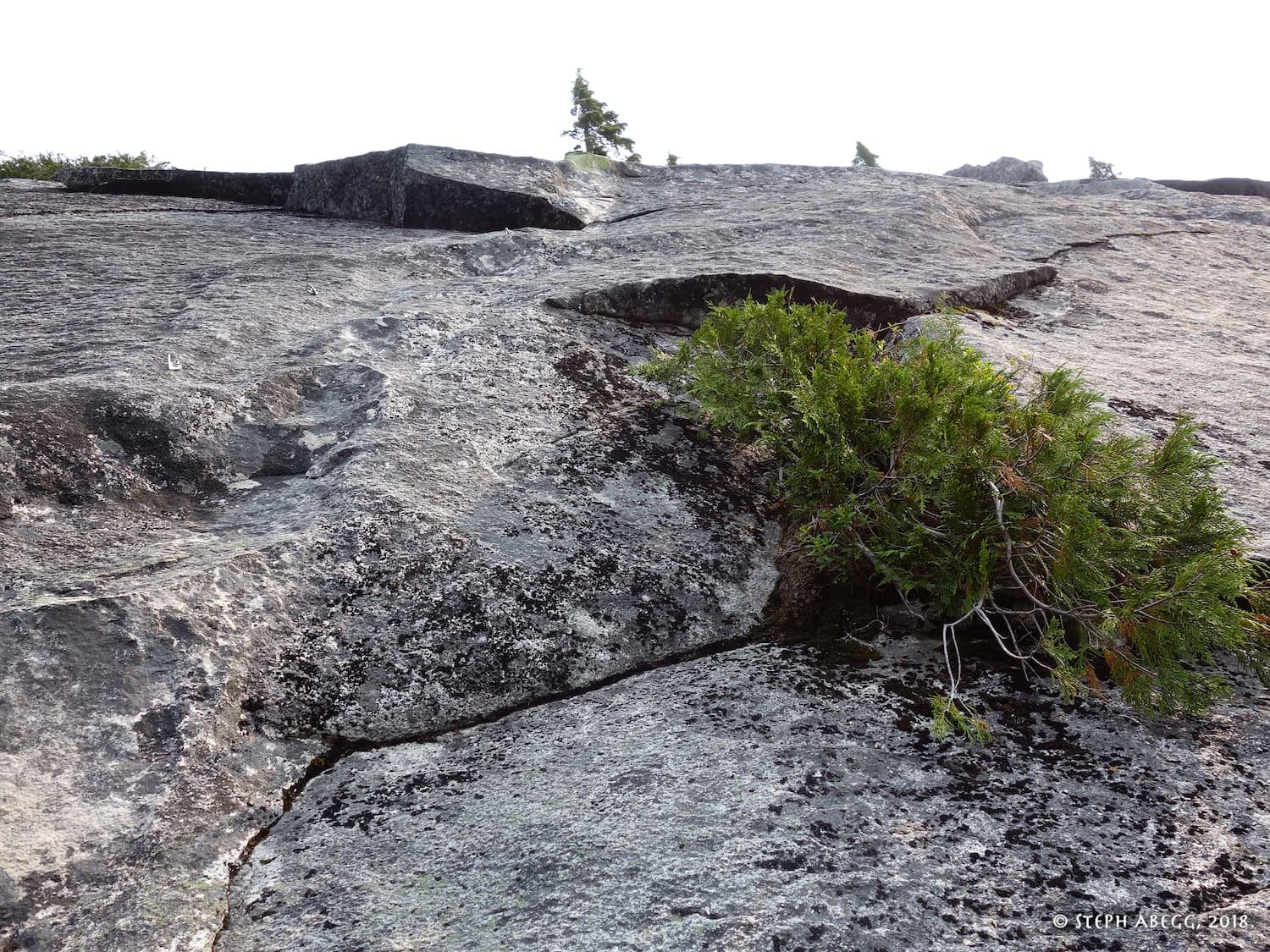 Photo of Blueberry Hill & Proxima Wall