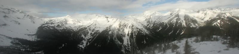 Photo of Olympic National Forest