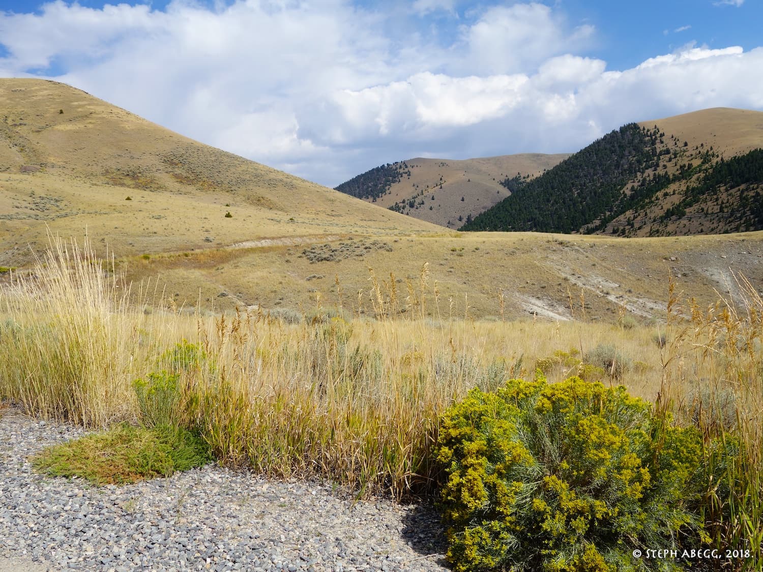 Photo of Montana