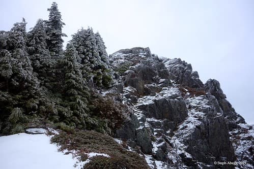 Photo of North Bend & Vicinity