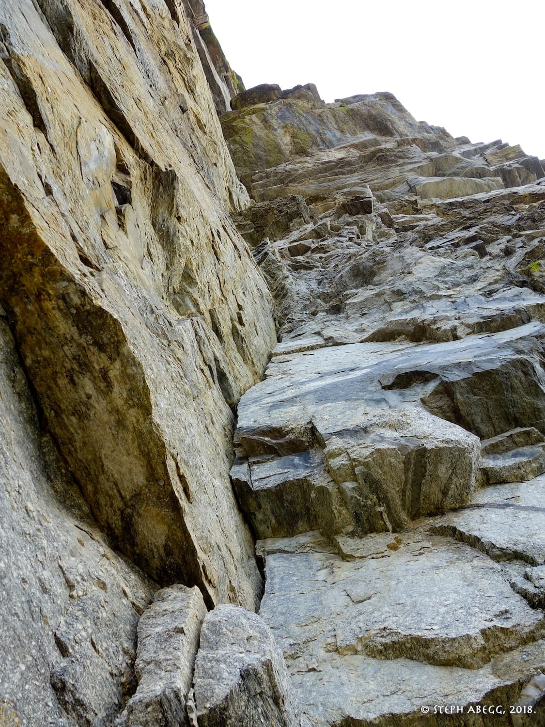 Photo of Sawed Off Heads Variation