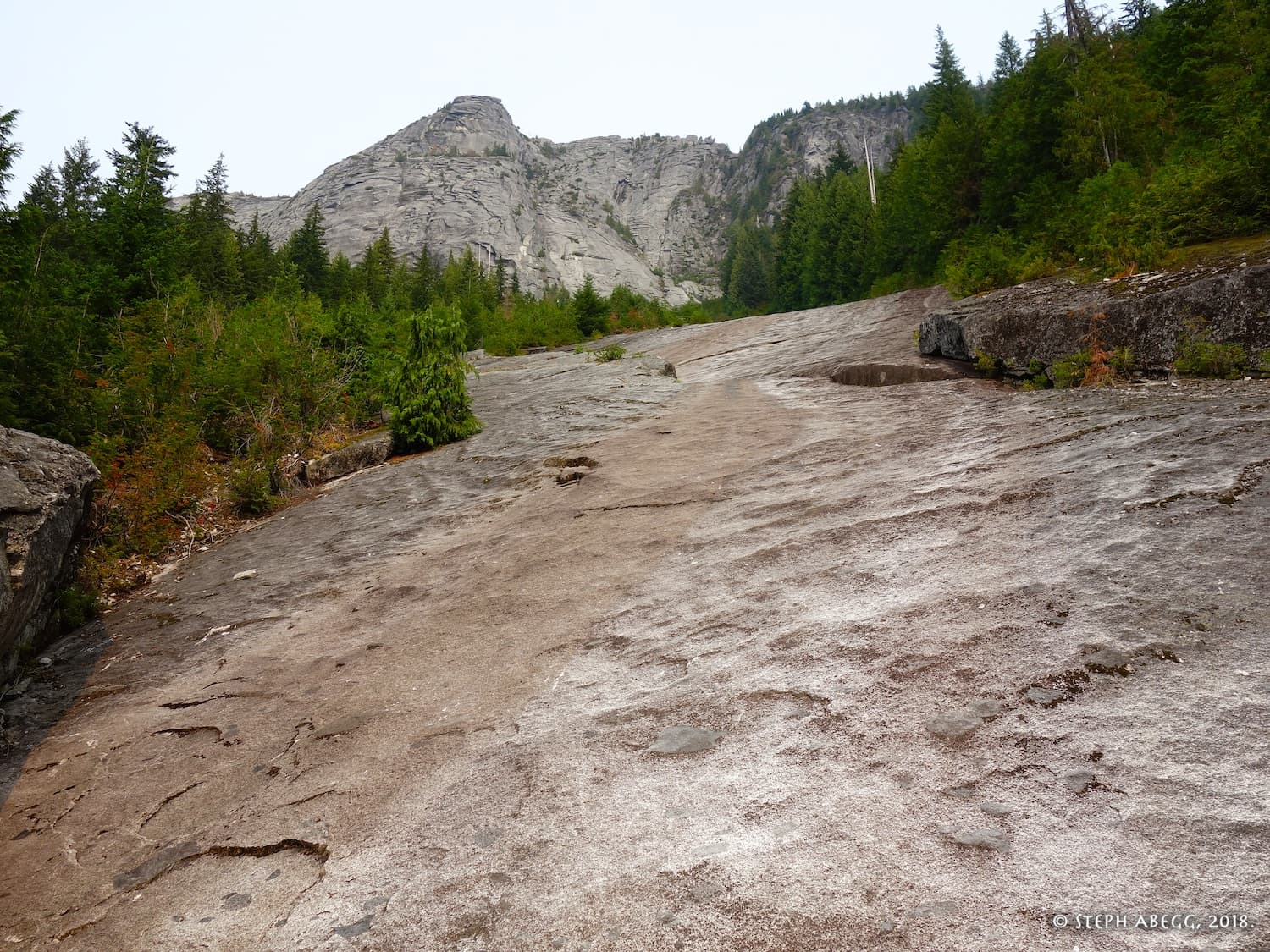 Photo of Blueberry Hill & Proxima Wall