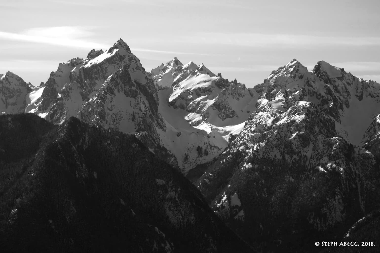 Photo of Olympic National Forest