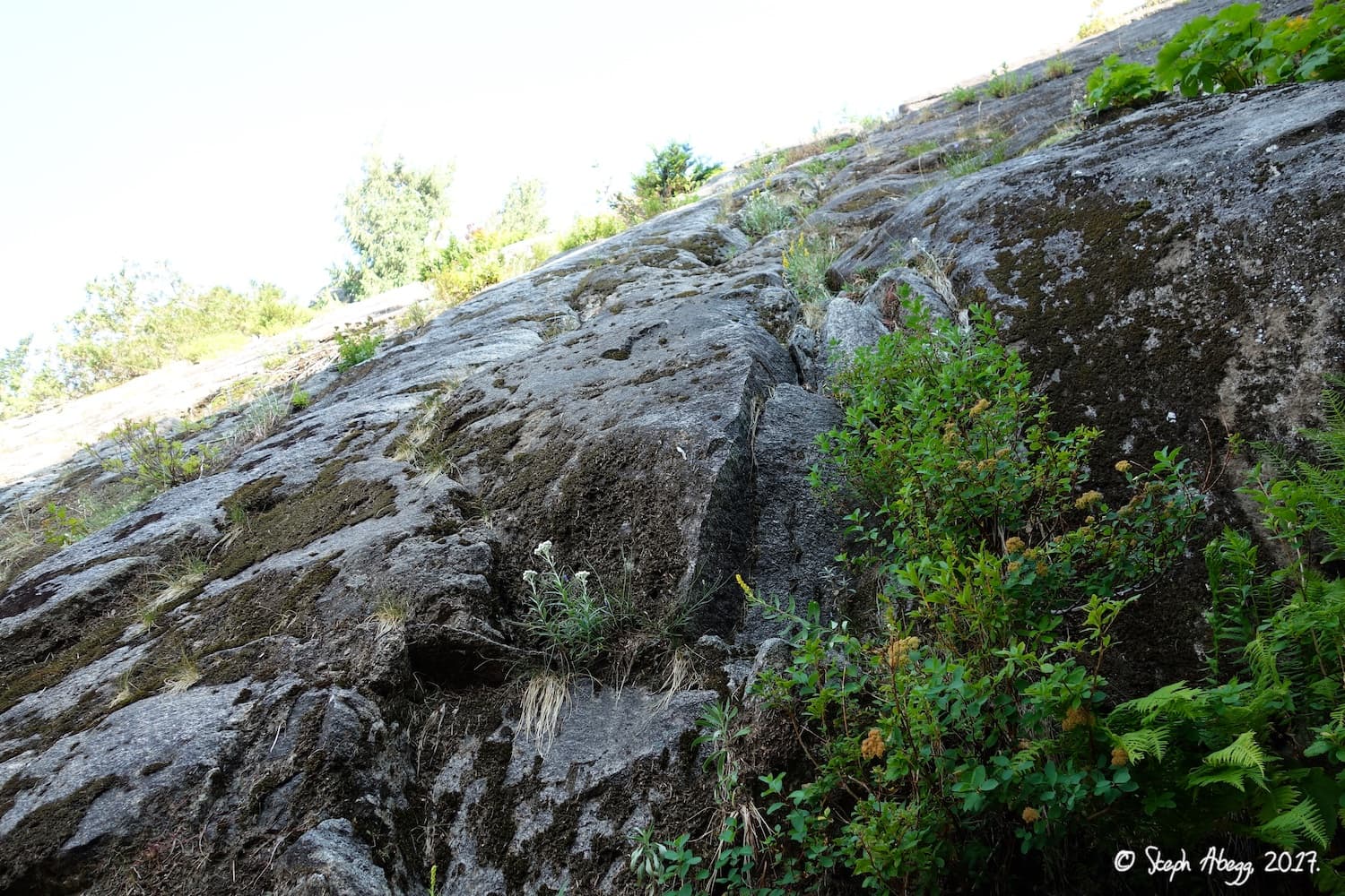 Photo of Squire Creek Walls
