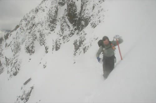 Photo of Olympic National Forest