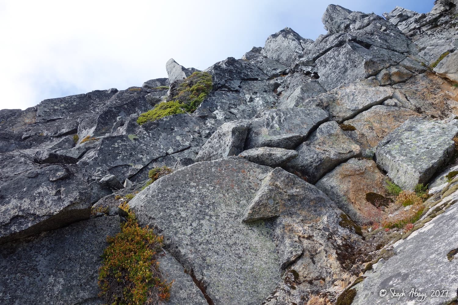Photo of Squire Creek Walls