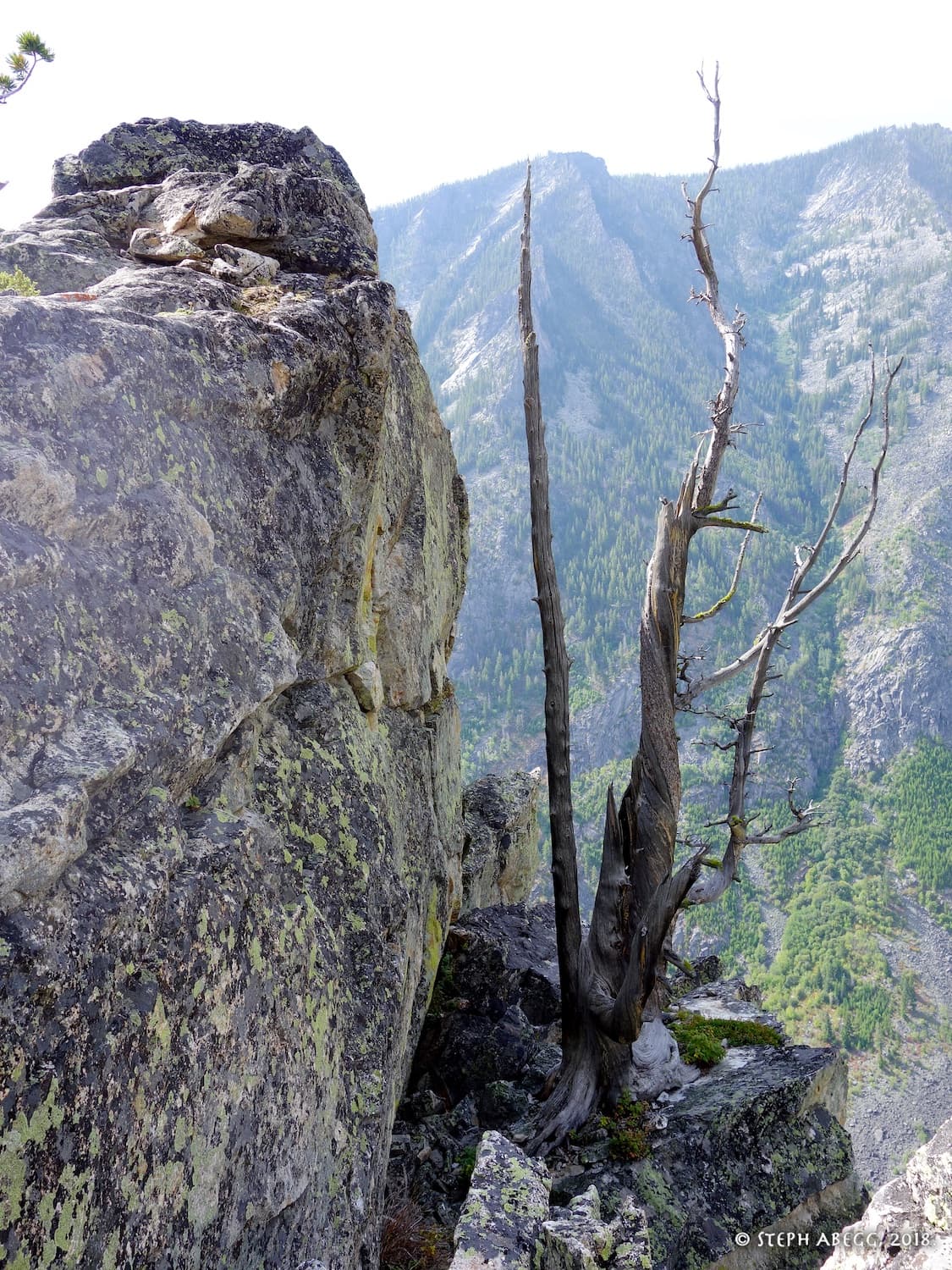 Photo of Shoshone South Face