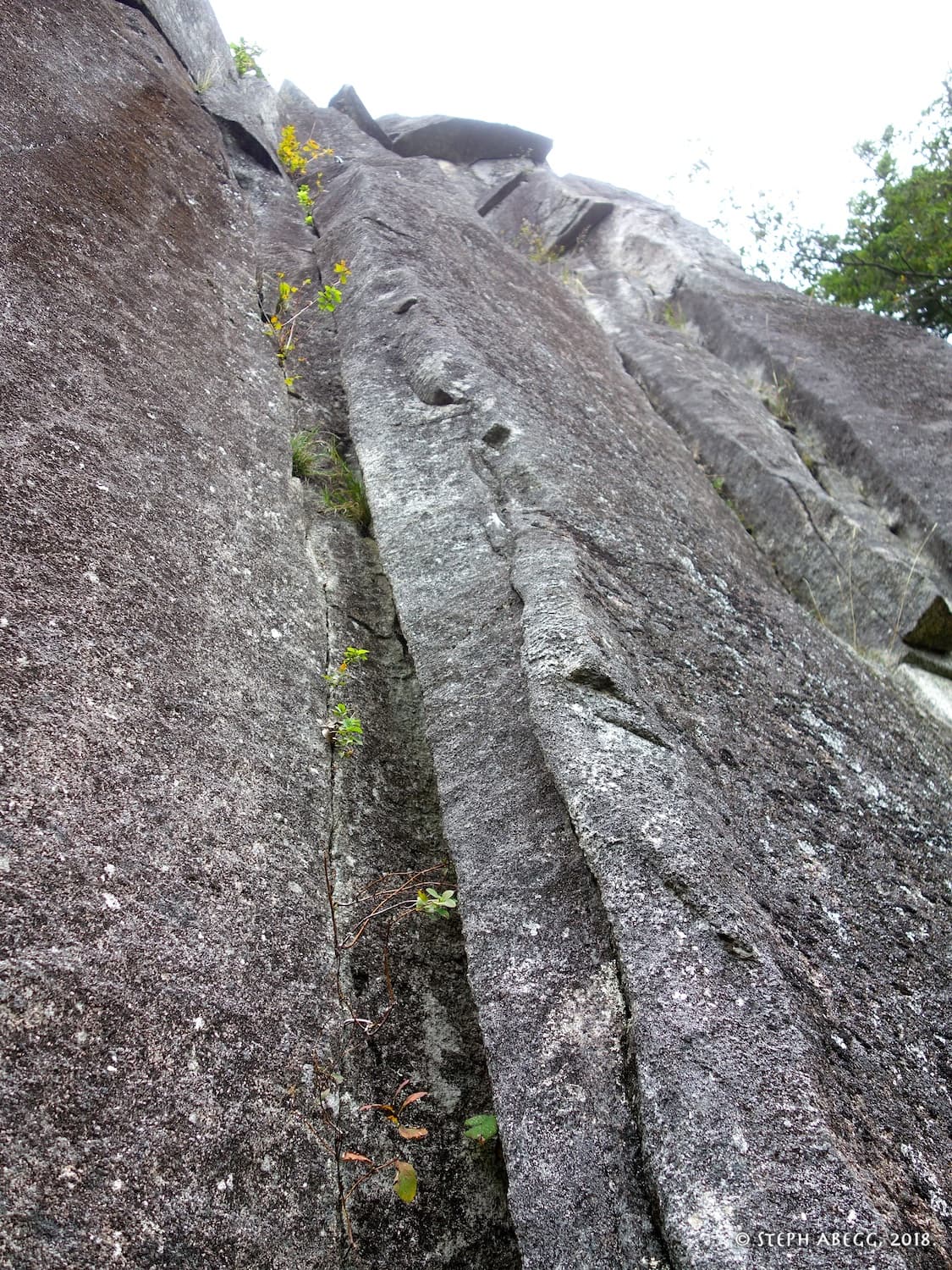 Photo of (C) Main Wall, left side
