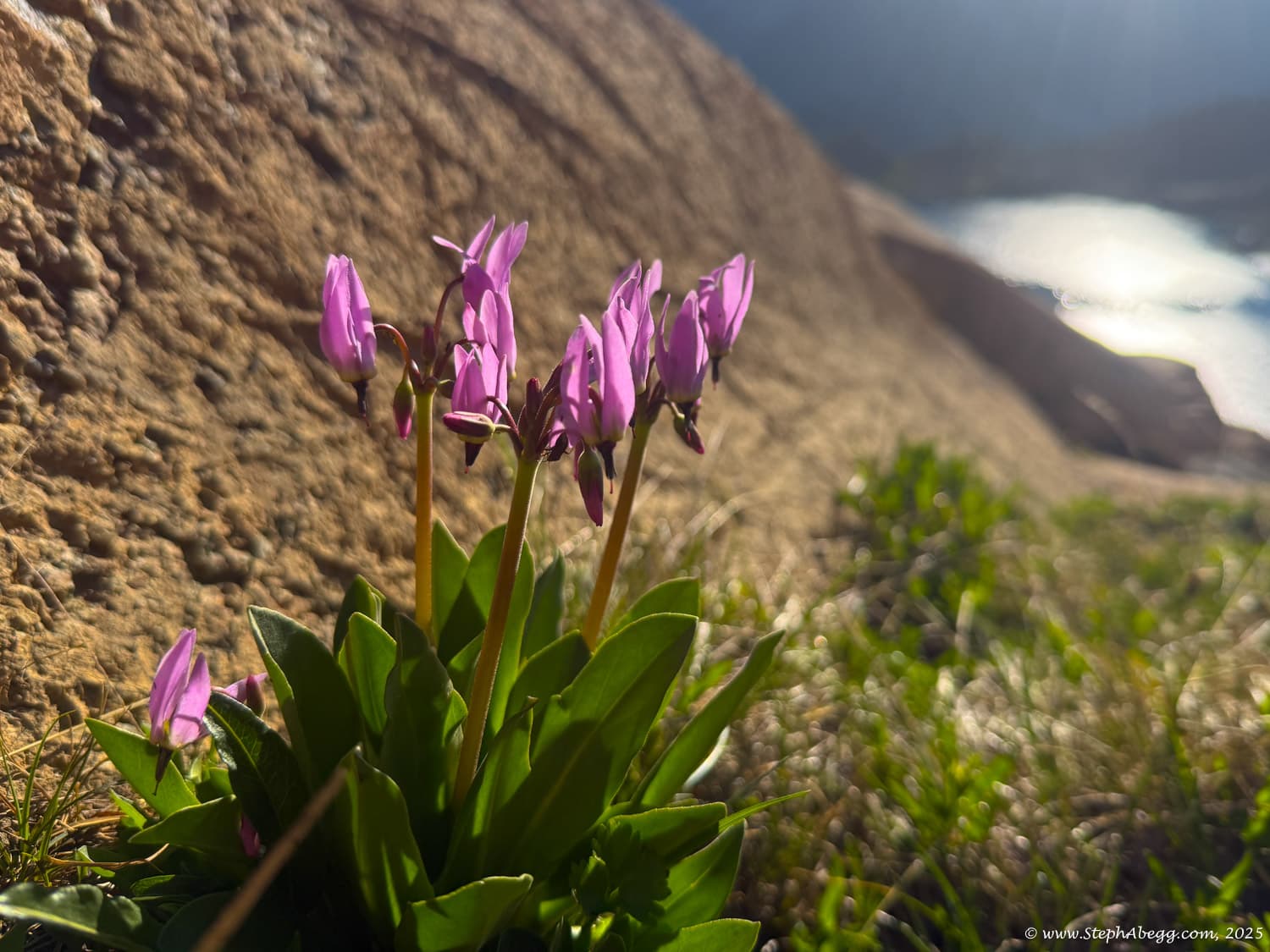 Photo of Ingalls Peak