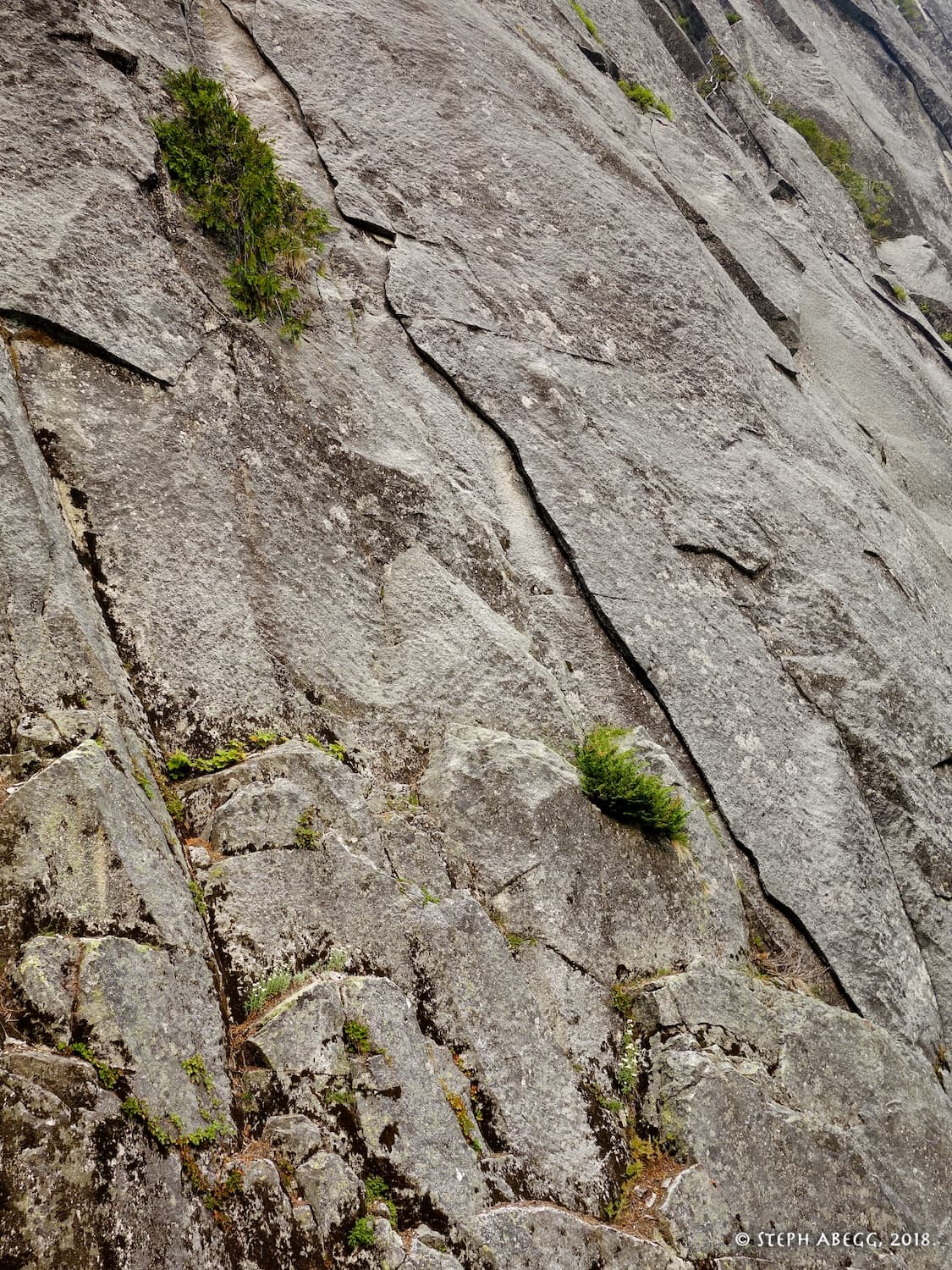 Photo of Exfoliation Dome