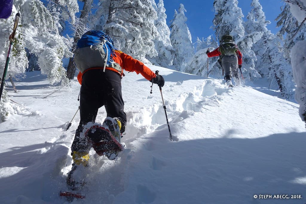 Photo of Snoqualmie Pass Area