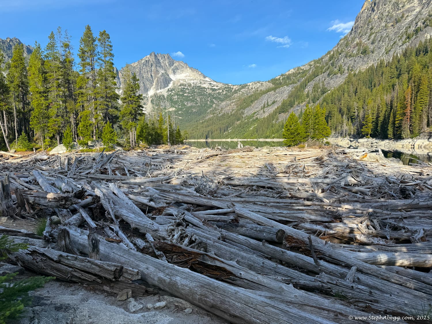 Photo of Stuart-Enchantments