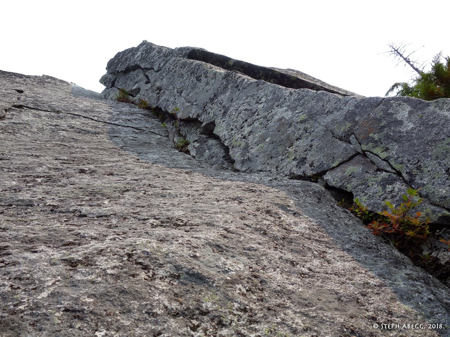 Photo of Blueberry Hill & Proxima Wall