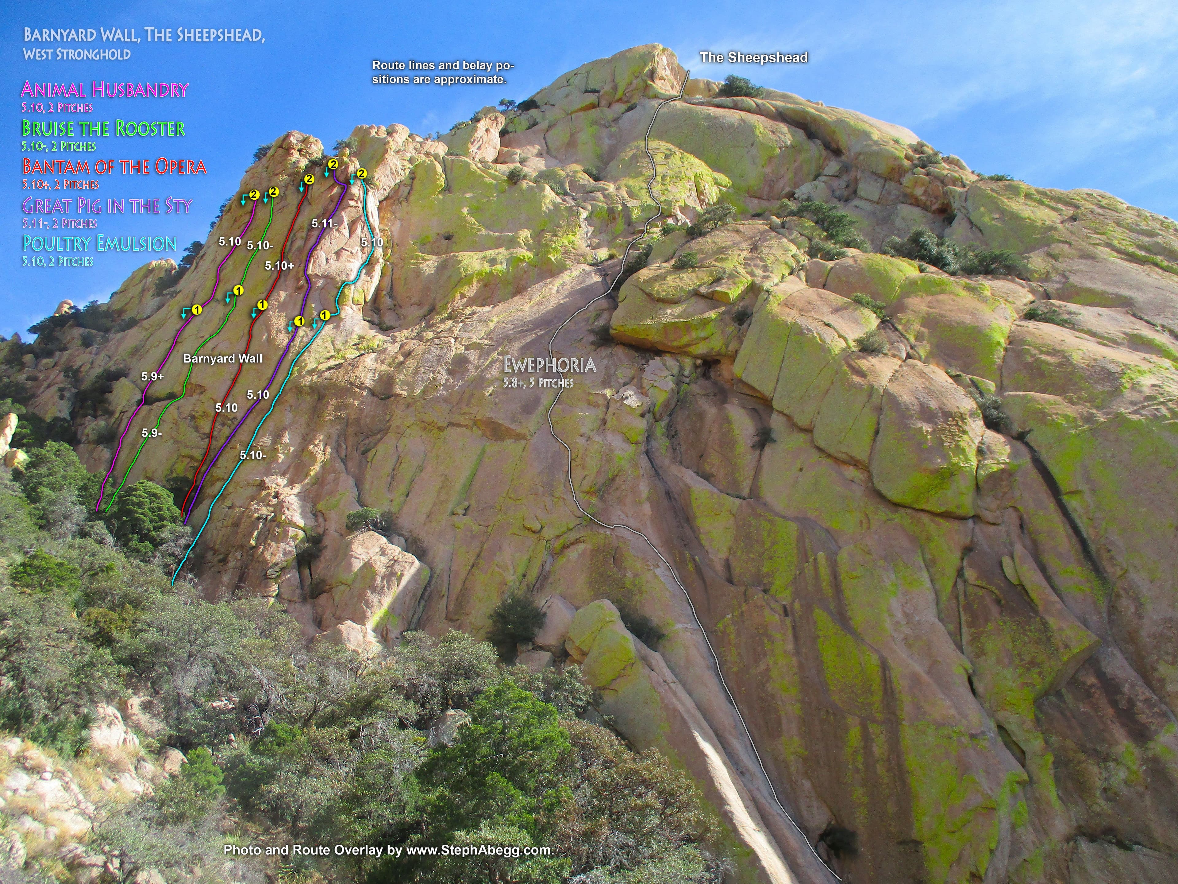 Photo of Arizona