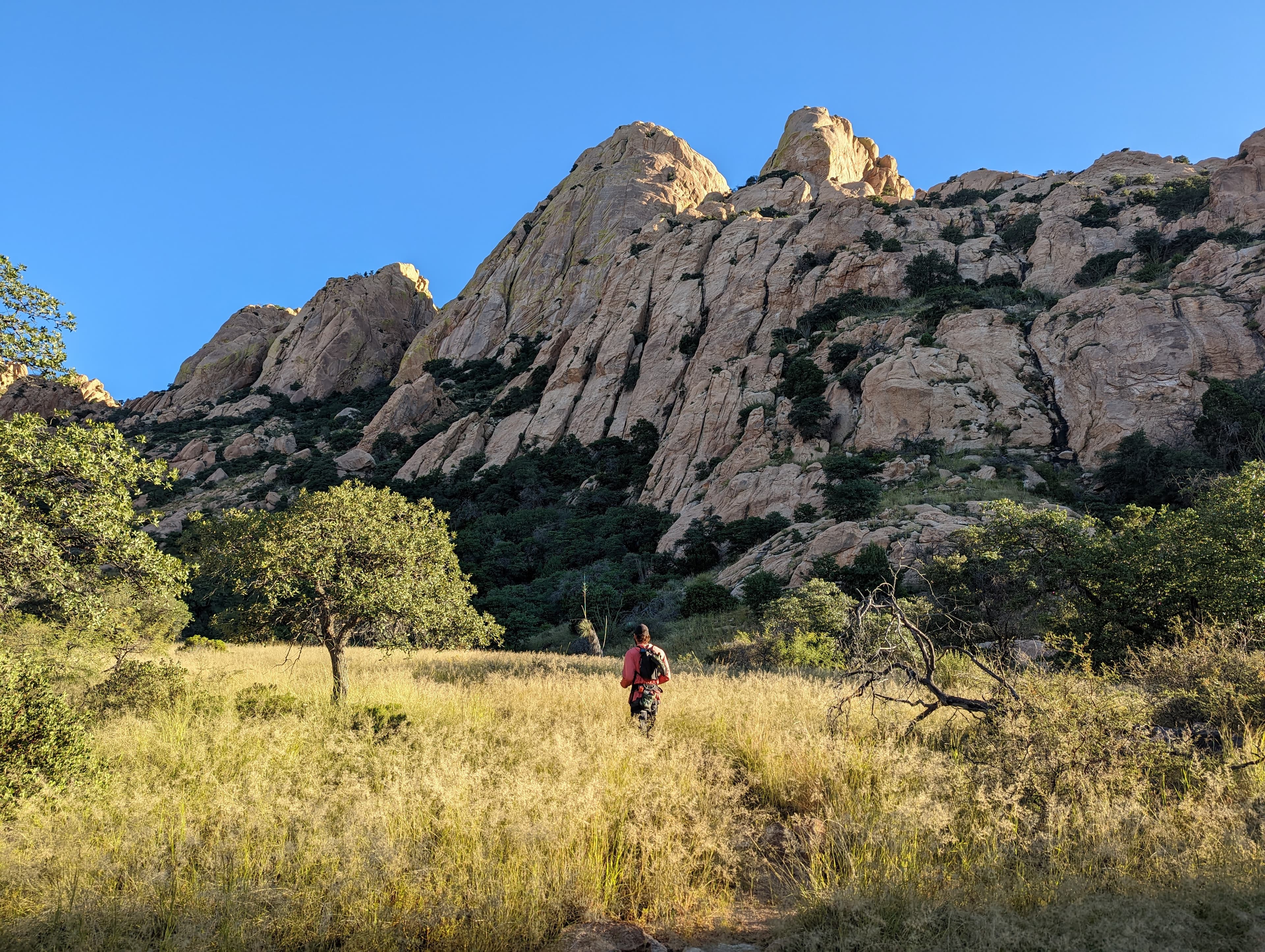Photo of Arizona