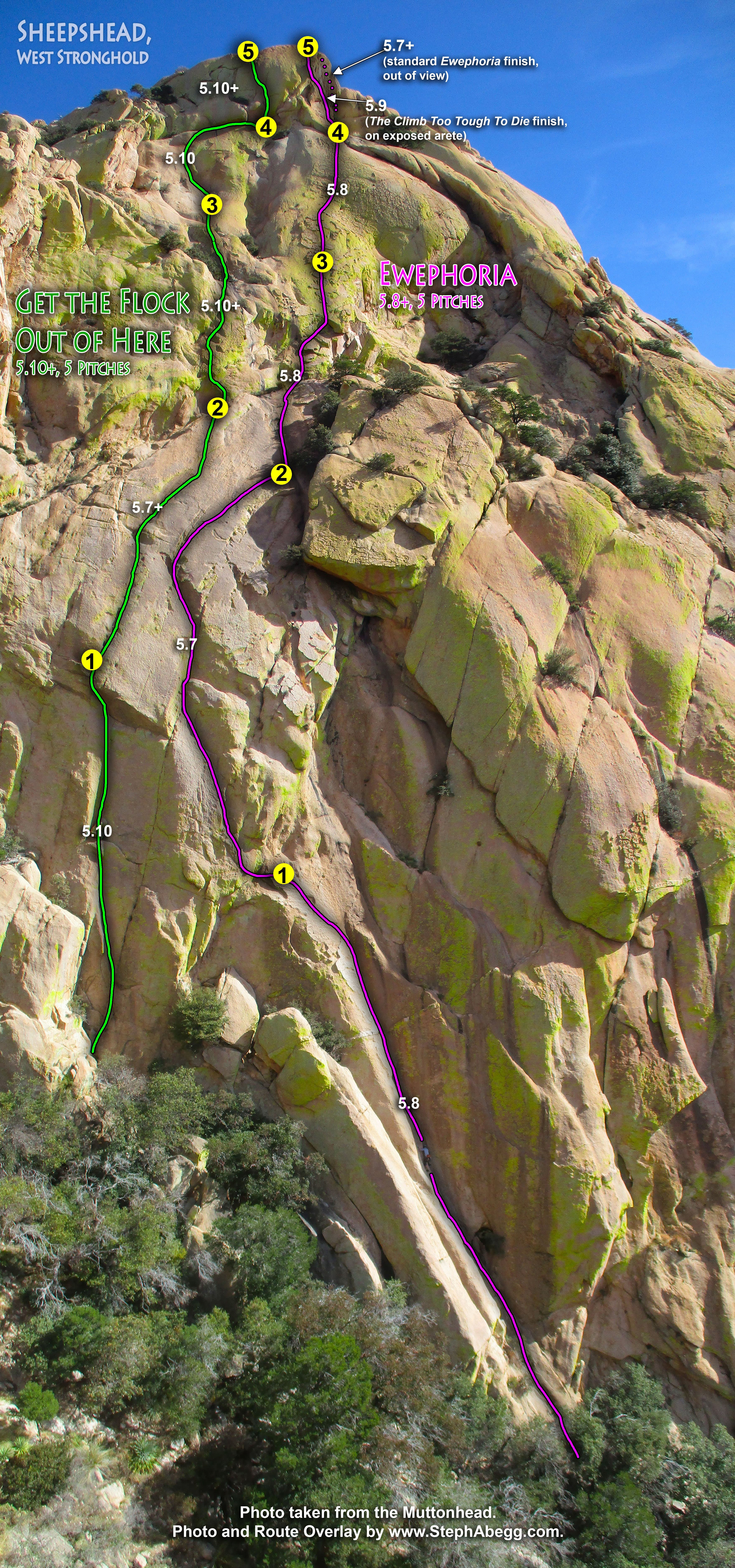 Photo of Arizona